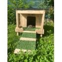 Cabane à tortue